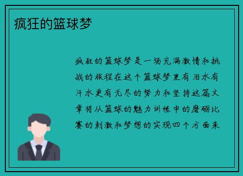 疯狂的篮球梦